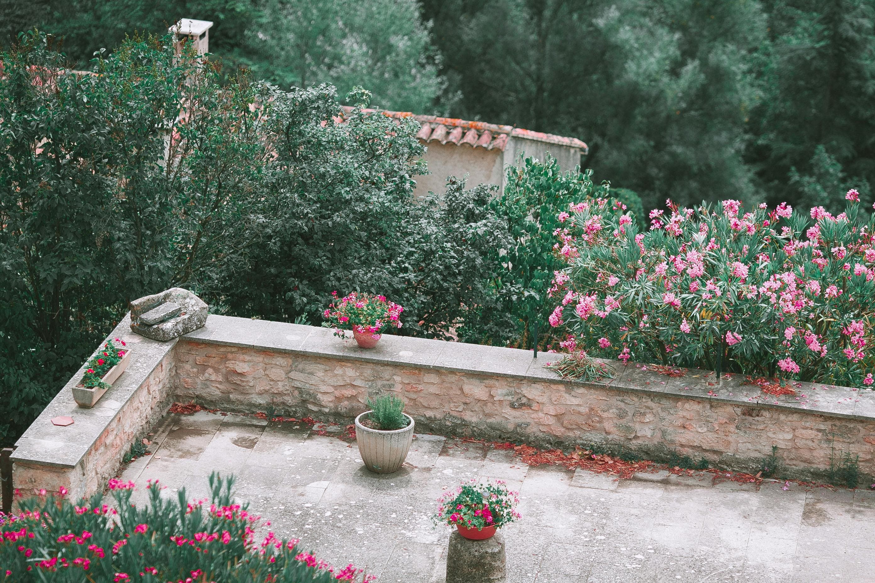 Jardin traditionnel - Maison de ville