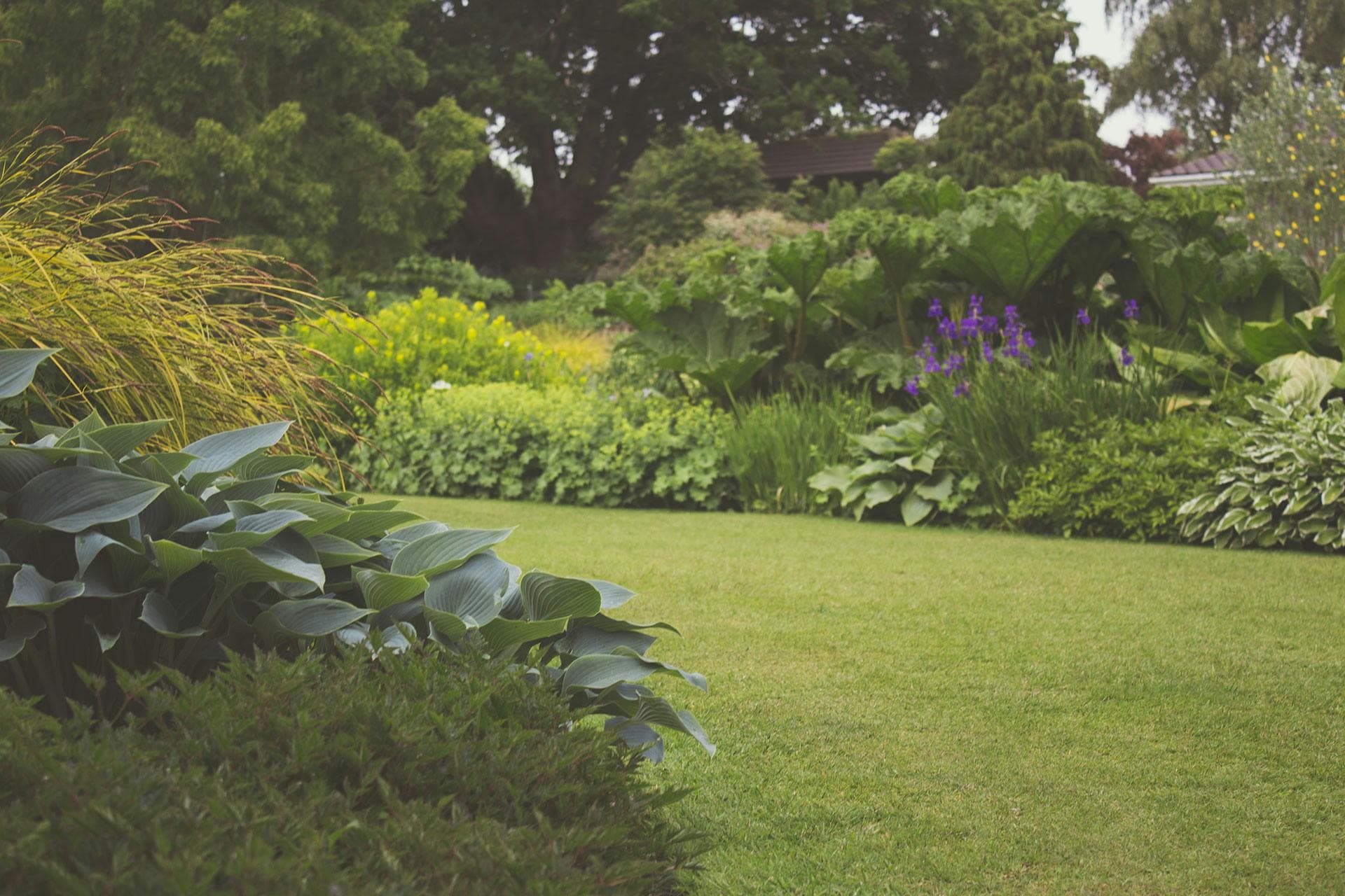 Jardin méditerranéen - Résidence secondaire